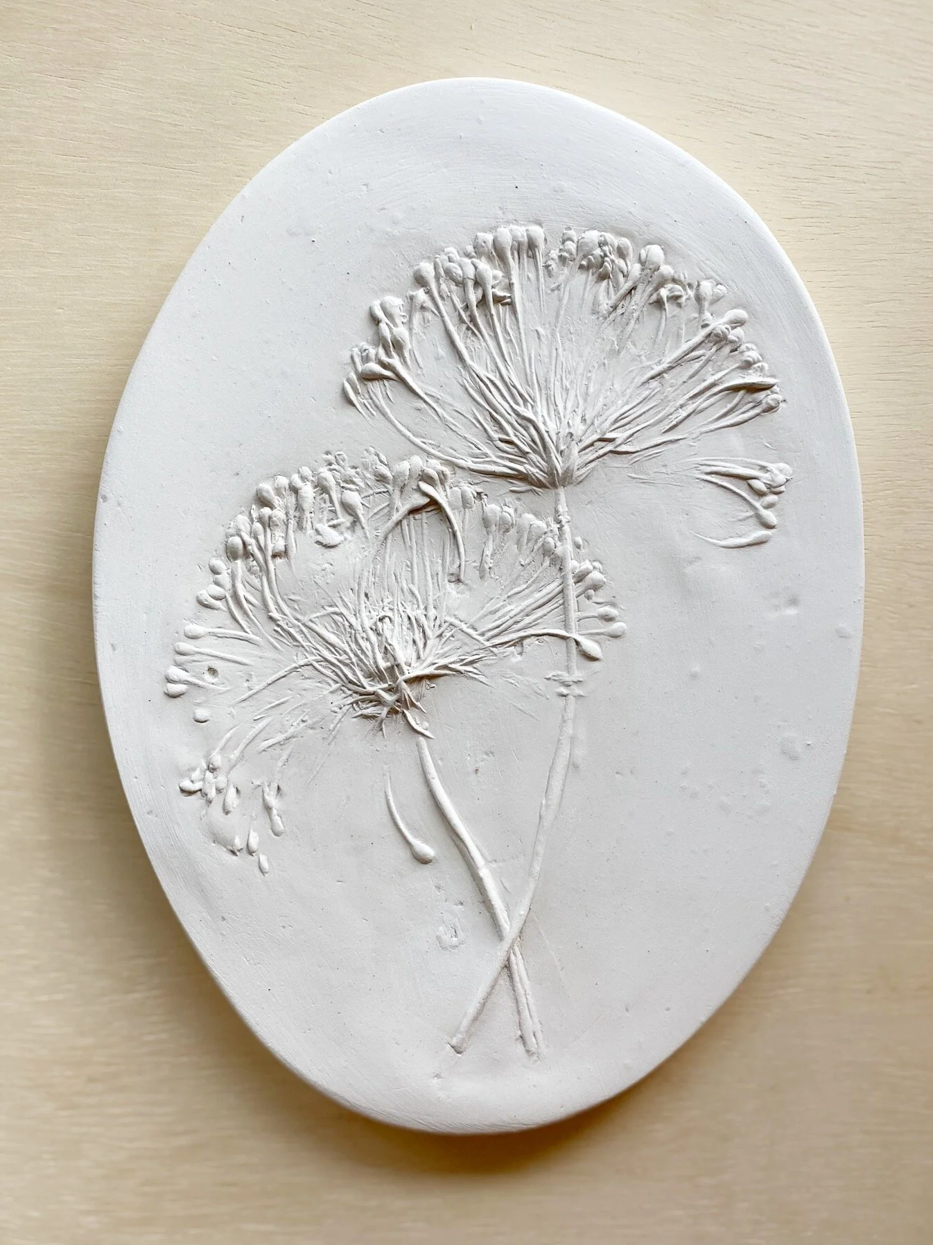 Botanical Plaster Art — Kris VandeWalle