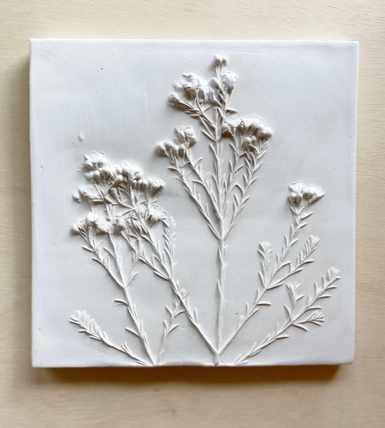 Botanical Plaster Art — Kris VandeWalle