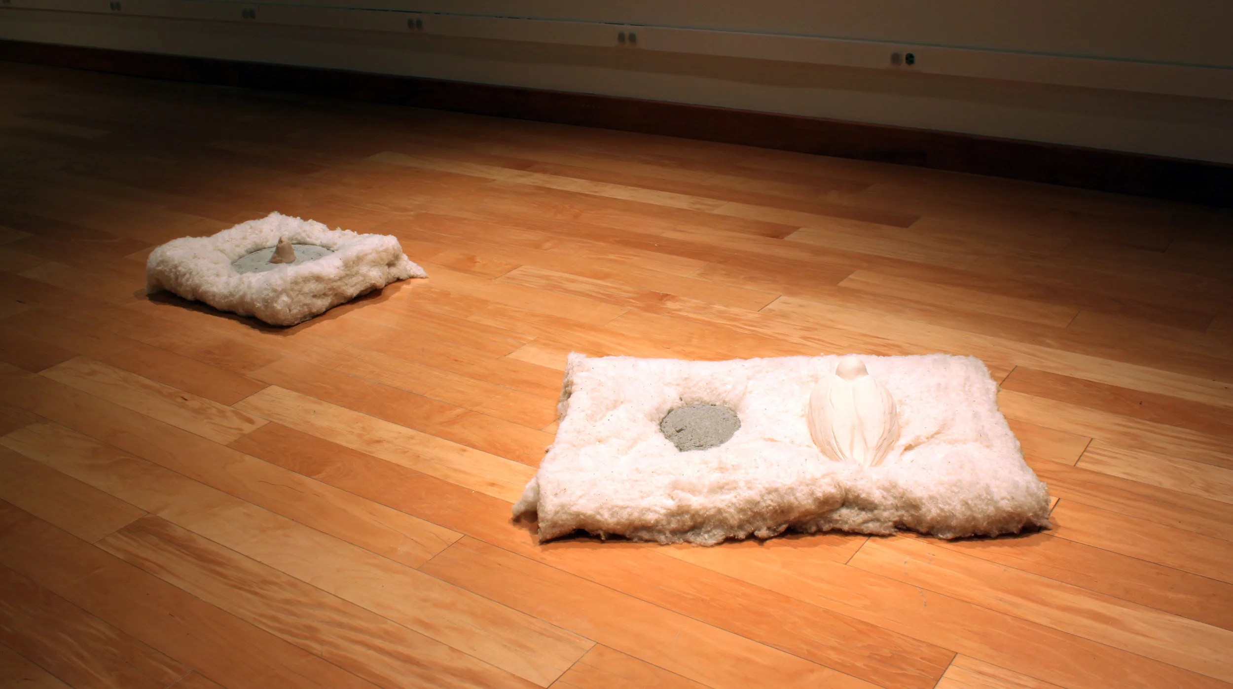 Foreign bodies 2017 porcelain, cement, cotton 