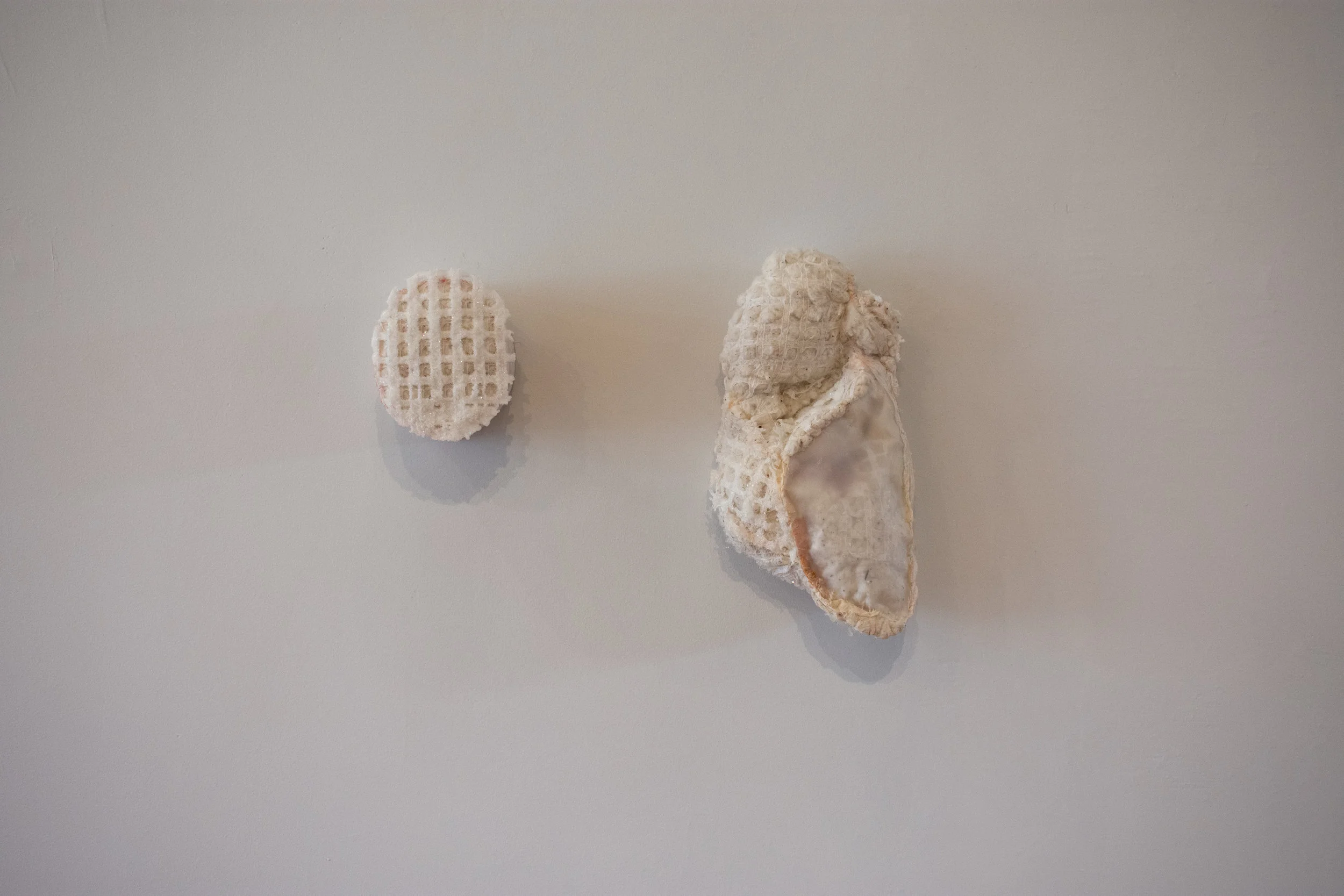 Empathy or theft I & II 2018 vellum, cotton, thread, fiber.