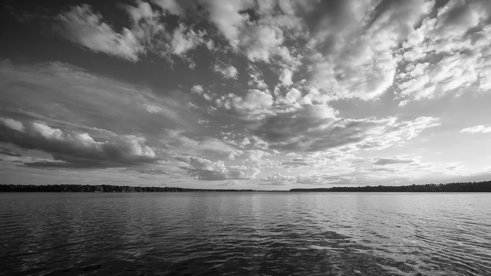 _MG_1608.jpg