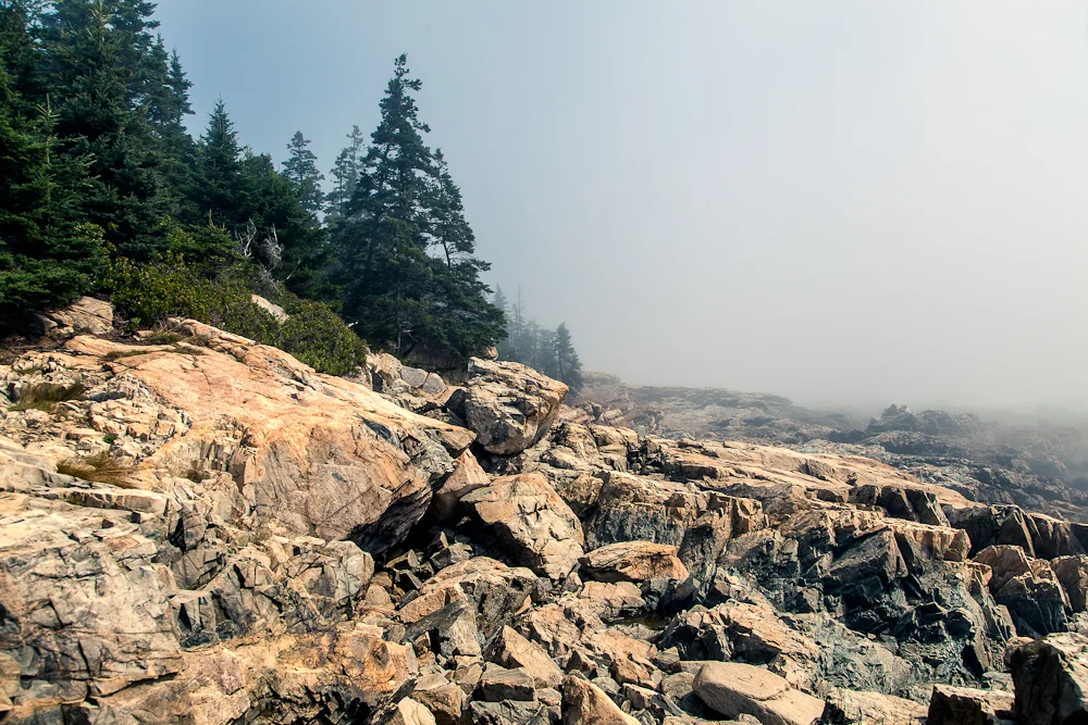 Acadia in the fog: Acadia is notorious for it's foggy summer mornings. It was pretty spectacular how thick the fog was.