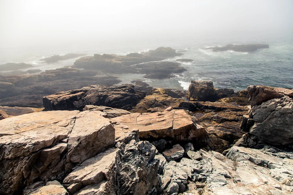The coast: It's pretty rocky along the coast in Acadia. A stark difference from the warm, soft, sandy beaches of the southeast.
