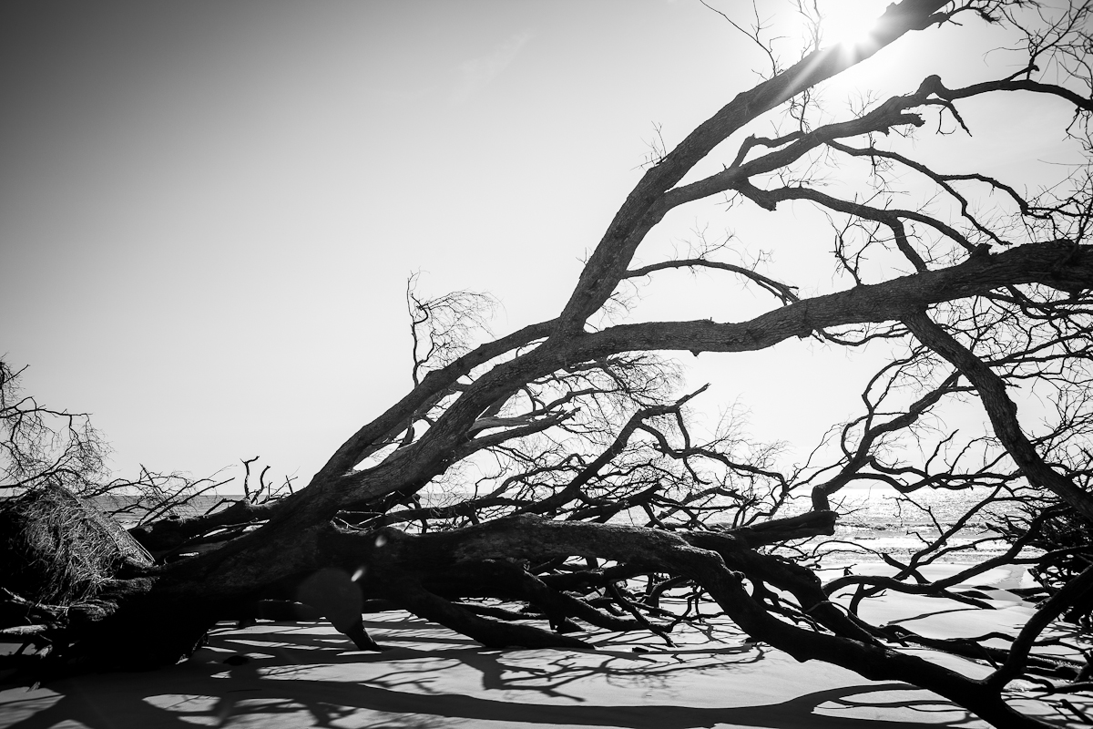 Transient