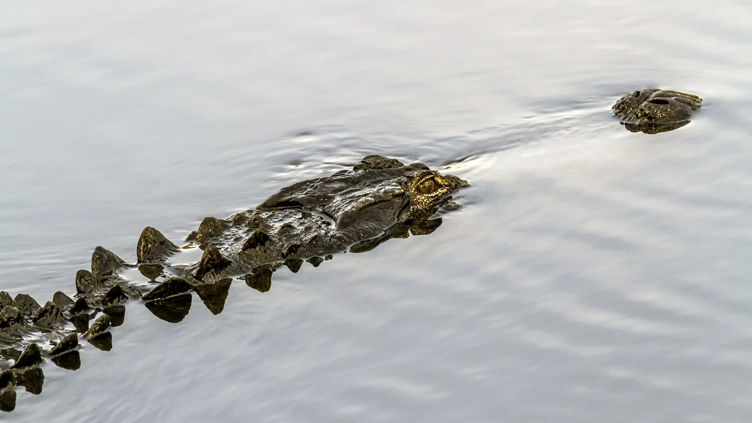 _MG_3365-Edit.jpg