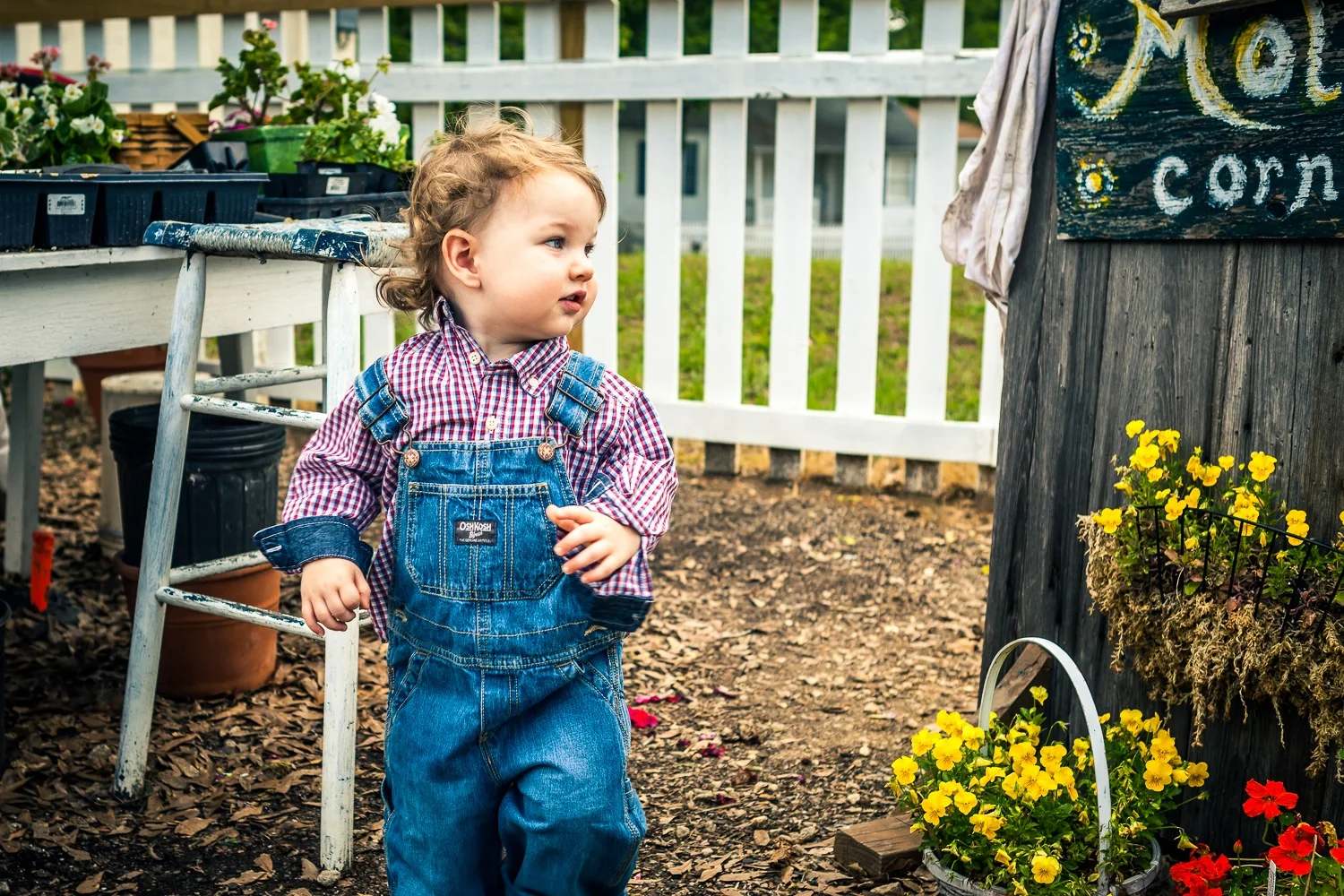 _MG_3874-Edit-2.jpg