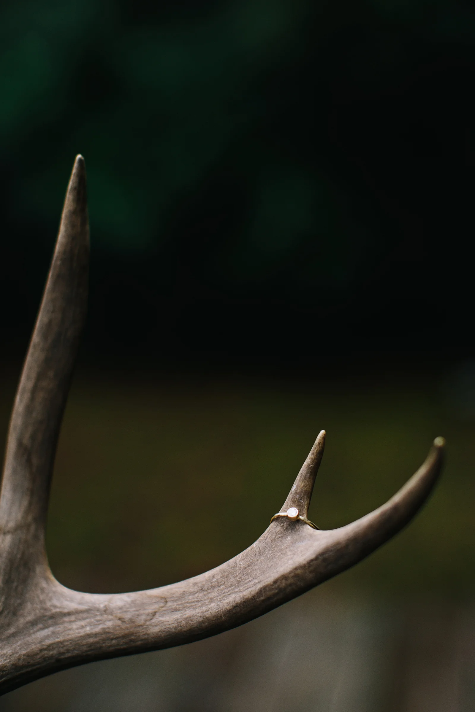 daronjacksonphotography-ej-07.jpg