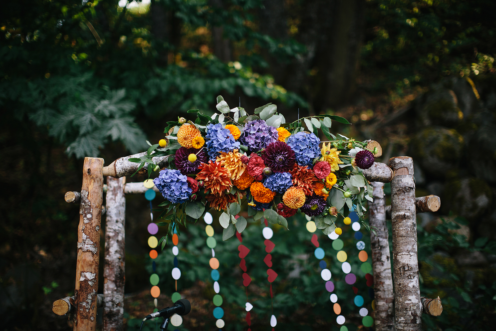 little-daronjacksonphotography-084.jpg