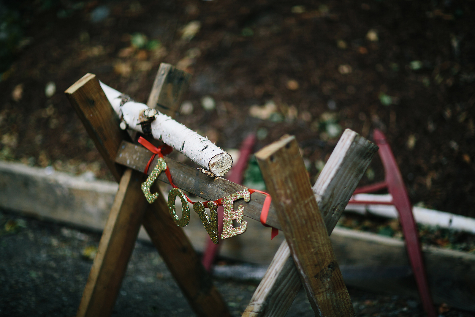 little-daronjacksonphotography-115.jpg