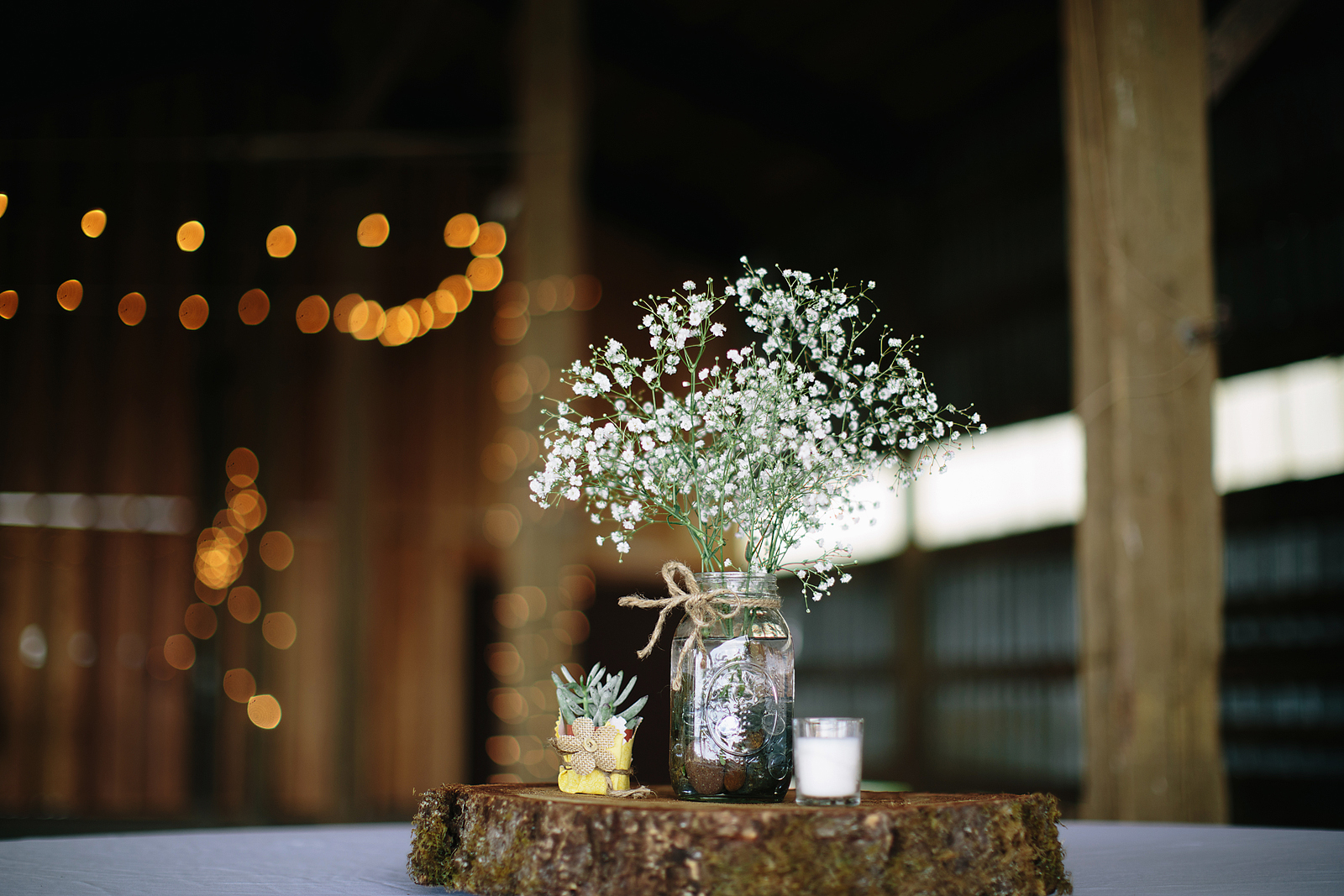 daronjacksonphotography-nelson-069.jpg