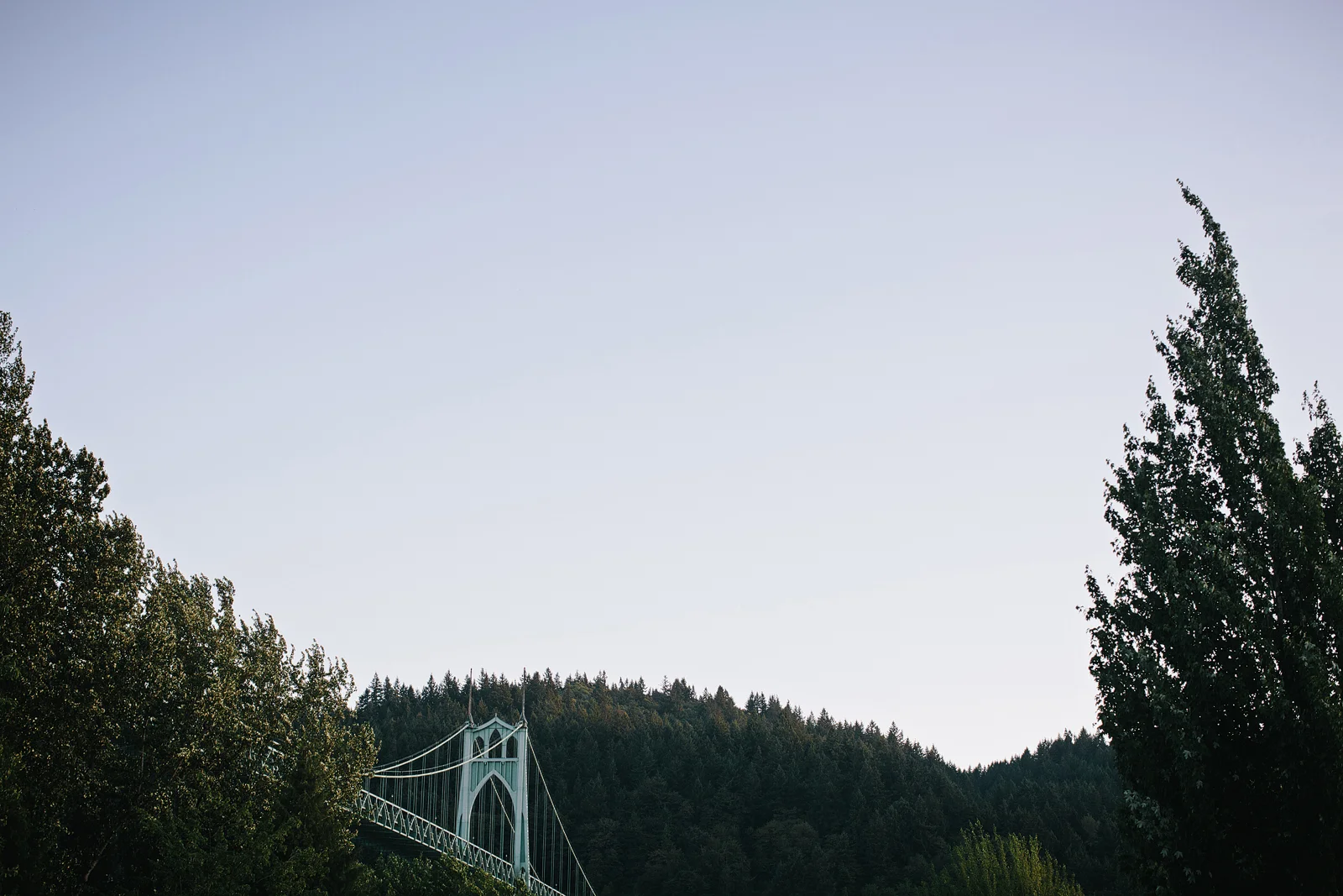 daronjacksonphotography-sa-18.jpg
