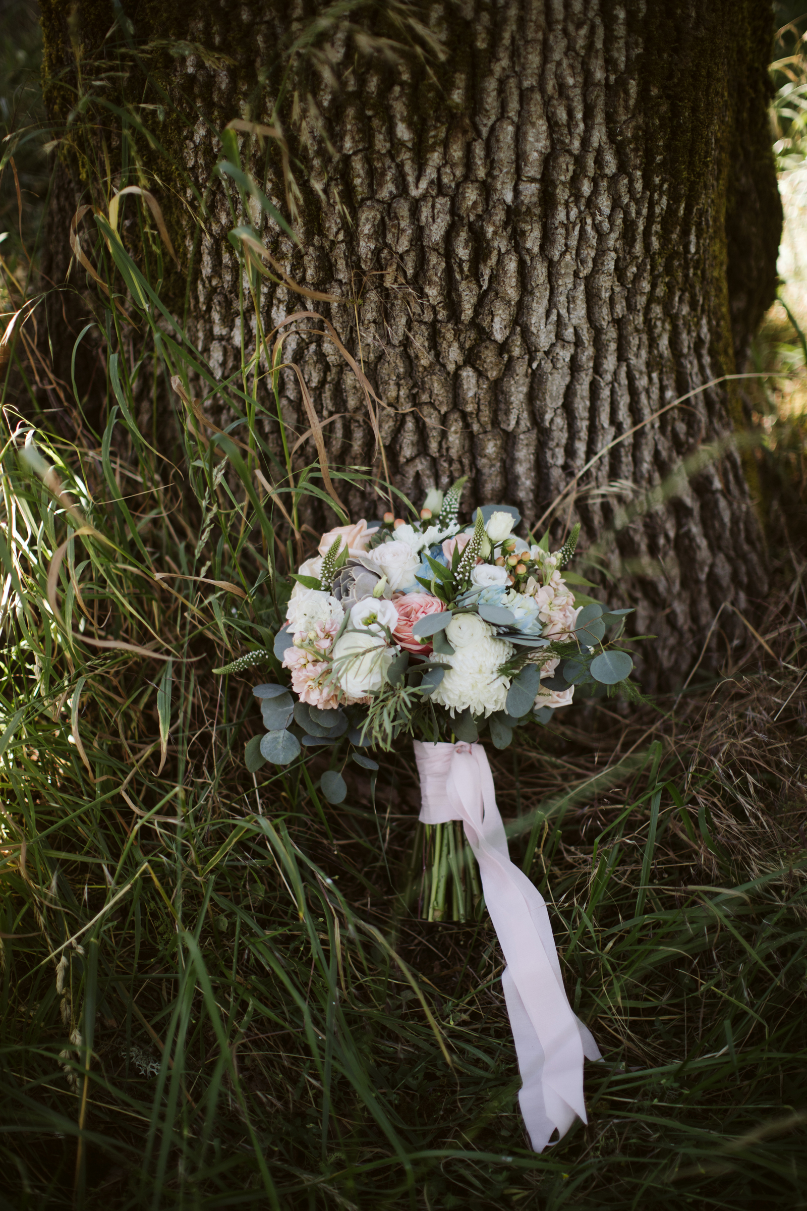 024-daronjackson-rachel-michael-wedding-mtpisgah.jpg