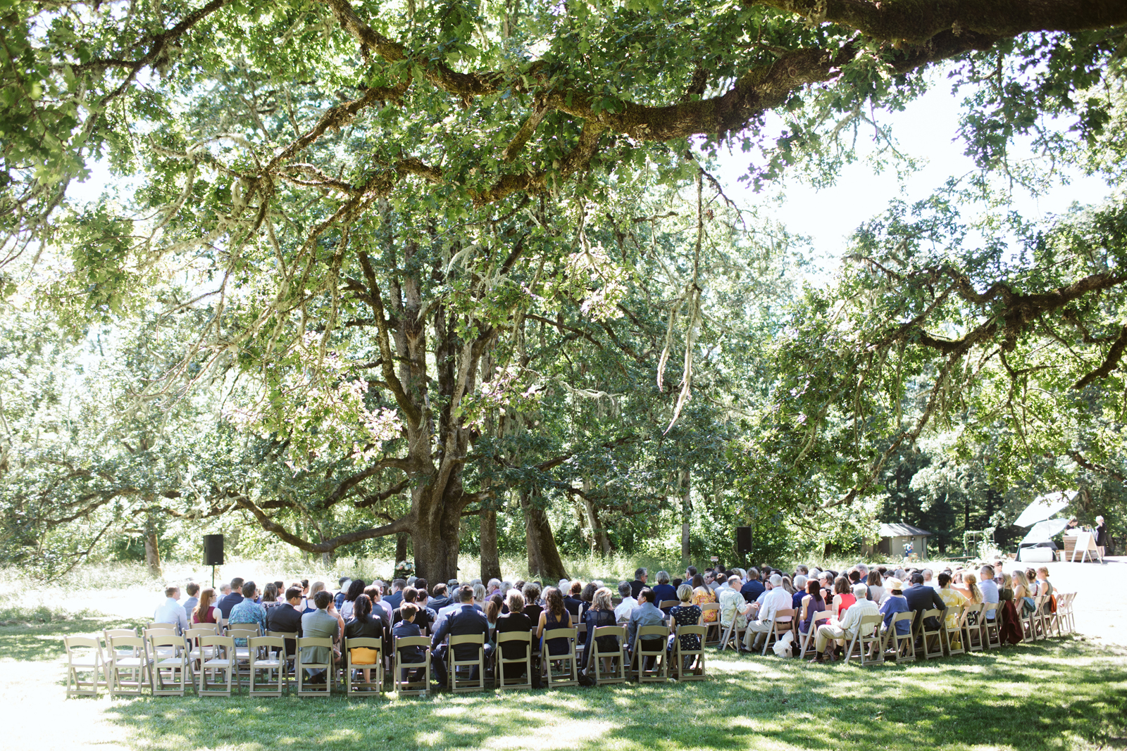 044-daronjackson-rachel-michael-wedding-mtpisgah.jpg