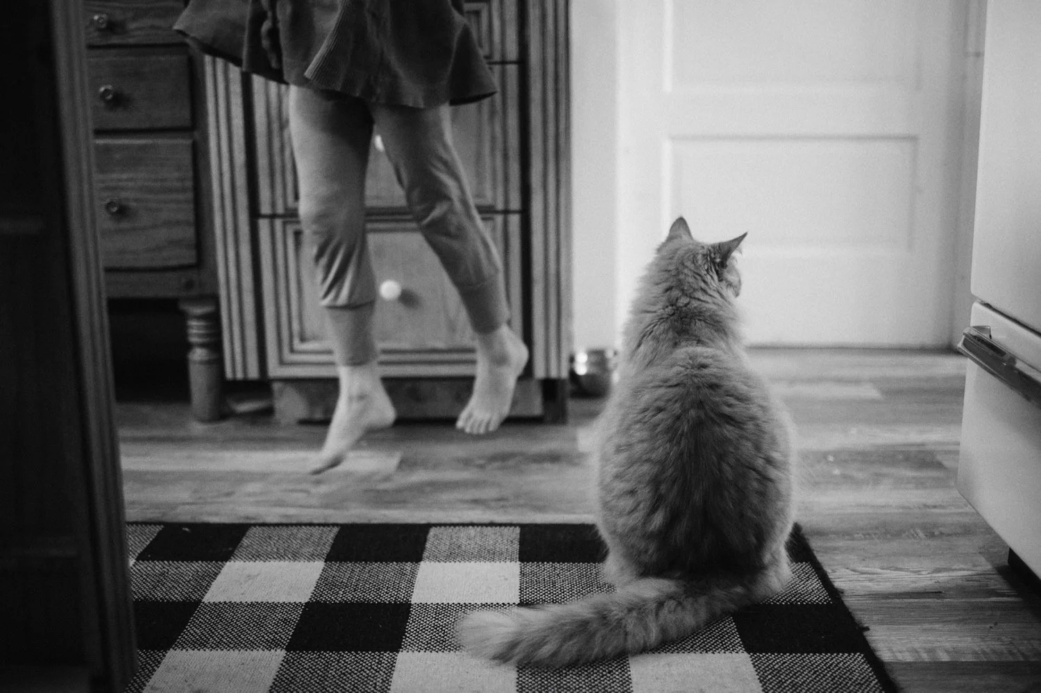 01_family photography at home in Portland Oregon.jpg