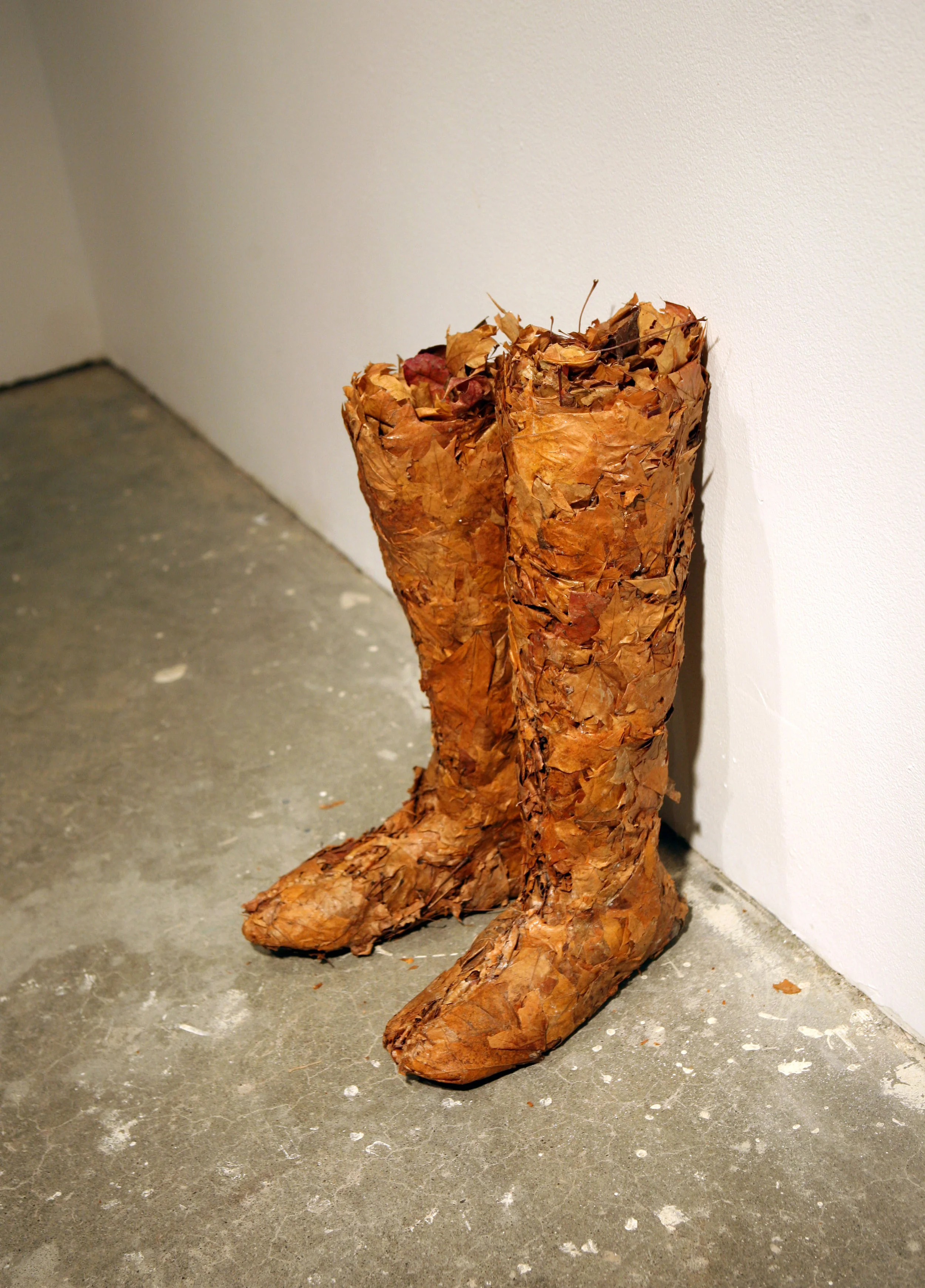 "Fall 2012"