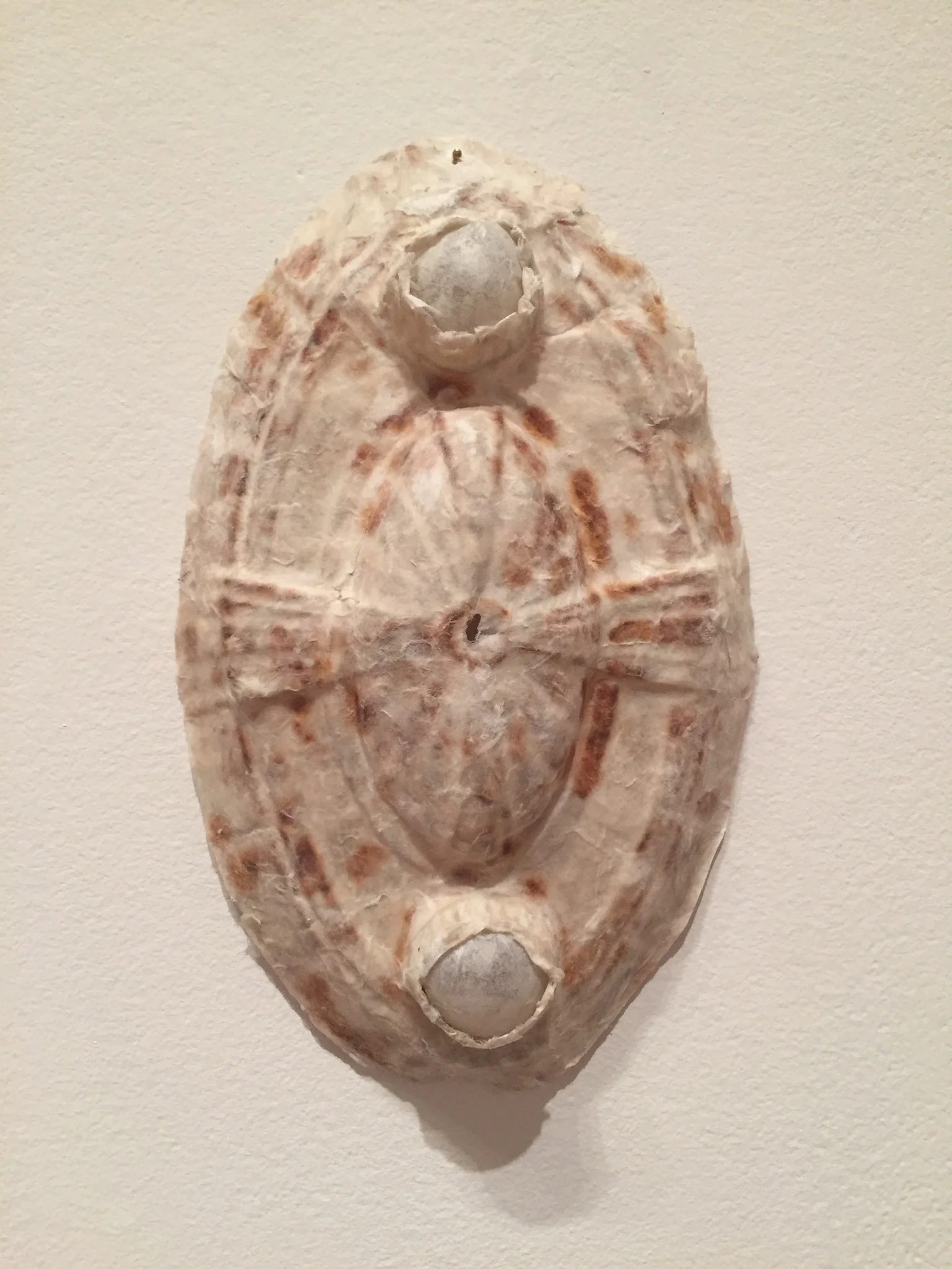 image5.JPG