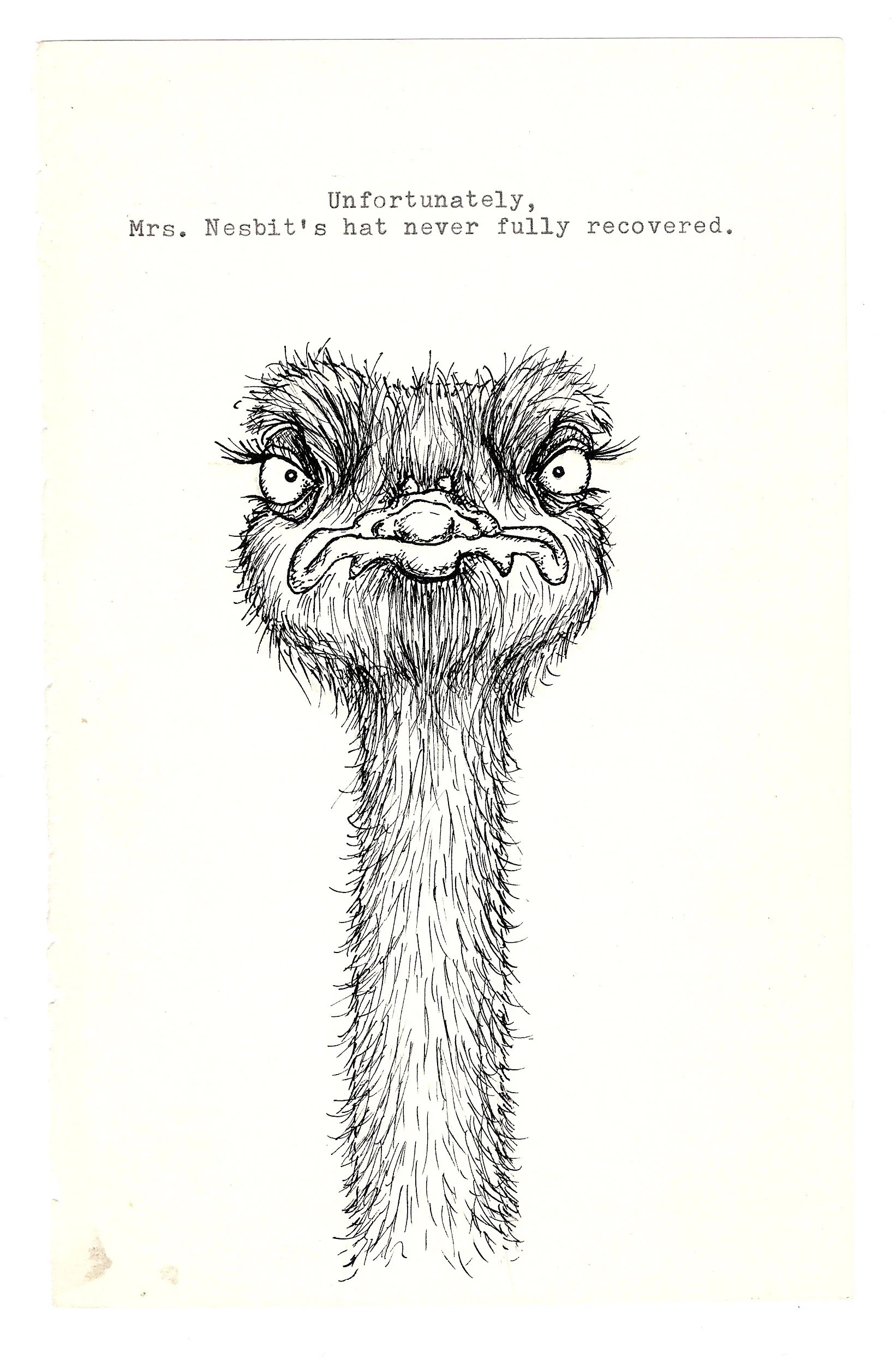 027--Mrs_Nesbits_Hat.jpg