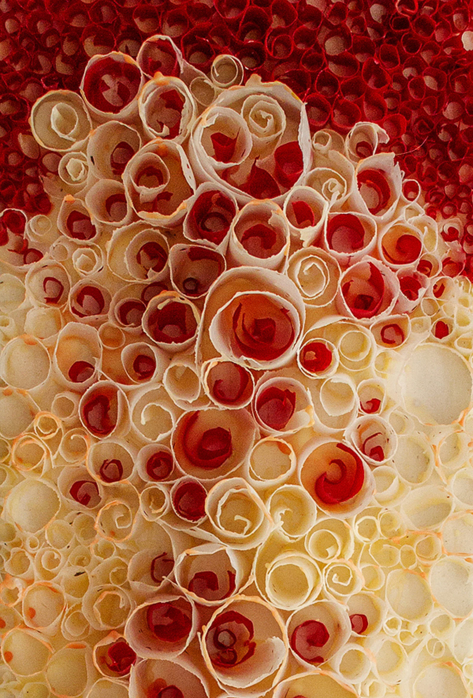 Progression (detail)