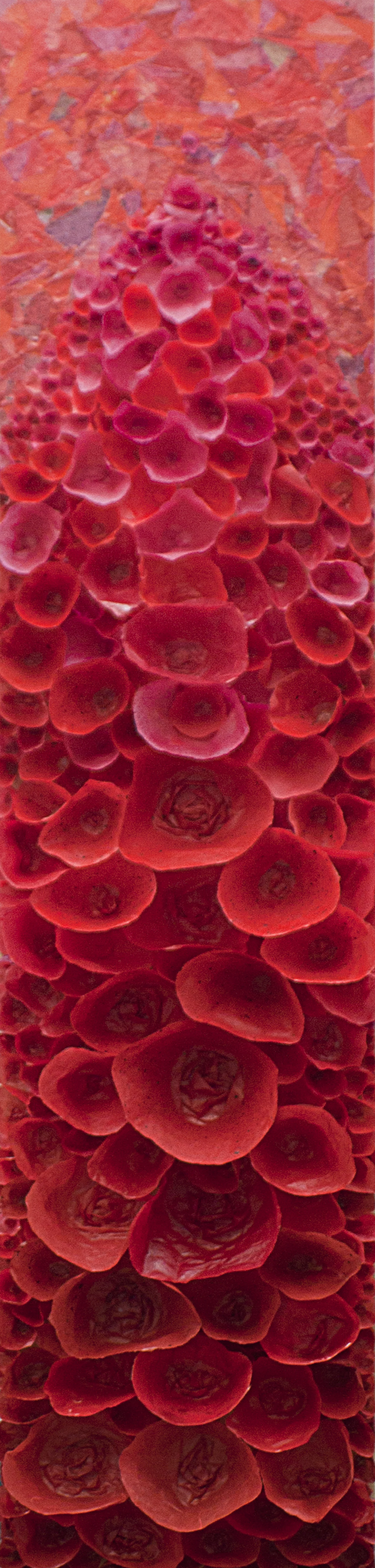 Red Zest