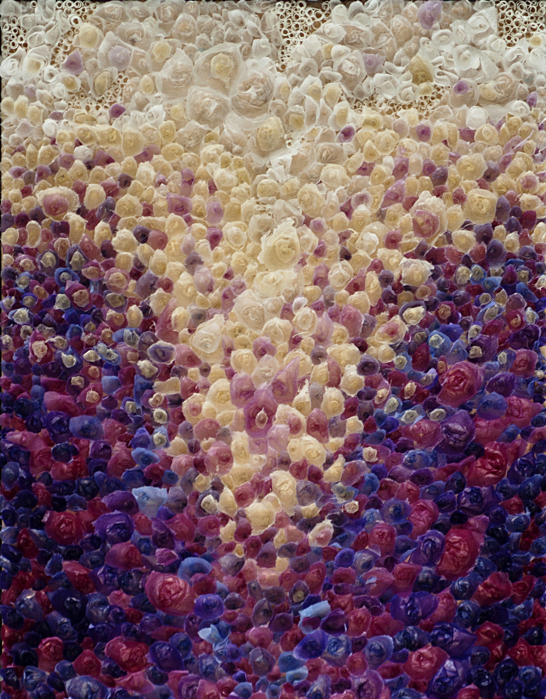 Purple Rise