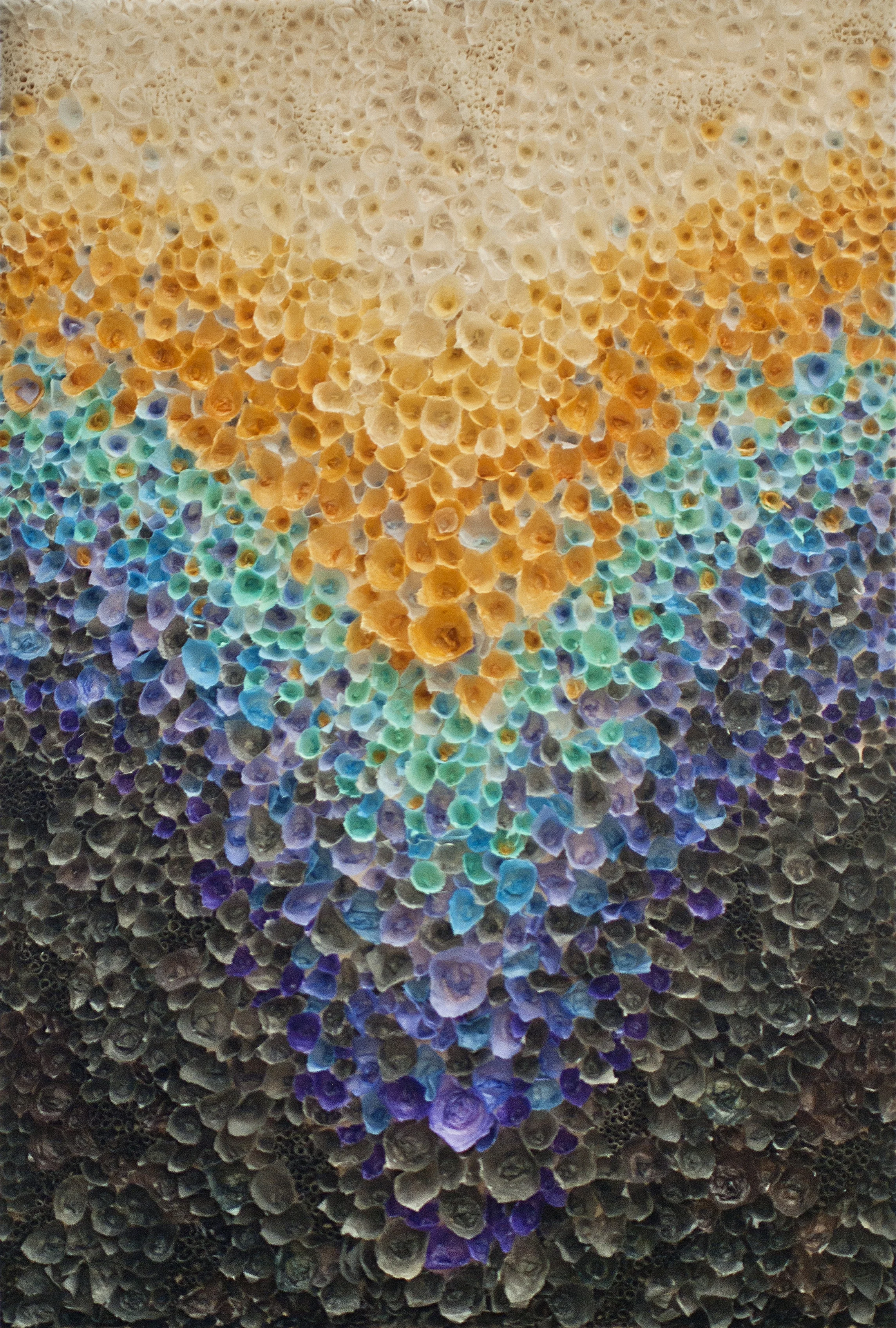 Amber Rise