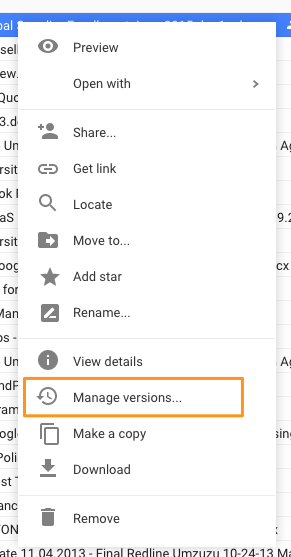 Google Drive Versions.png