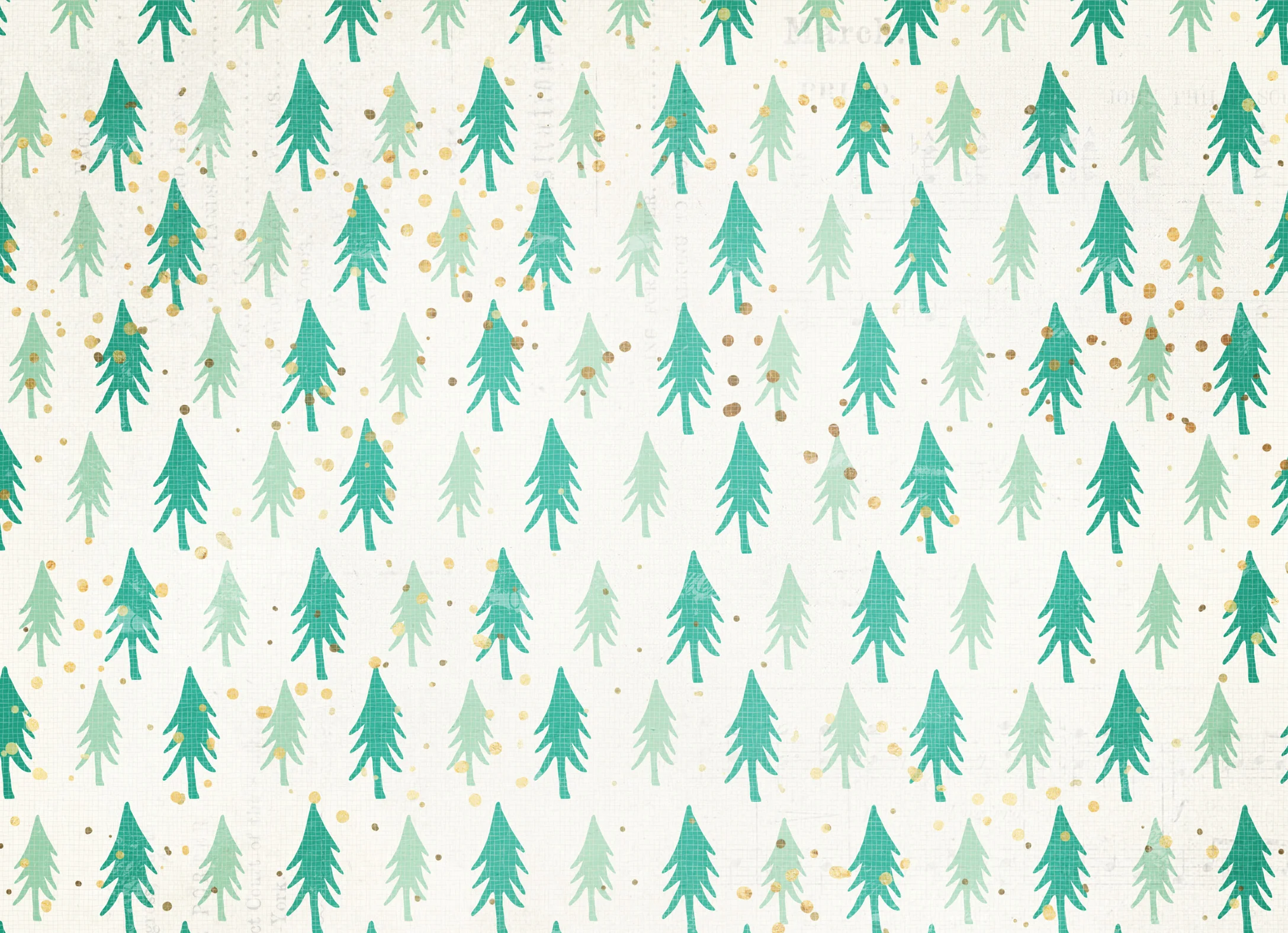 Tree.jpg