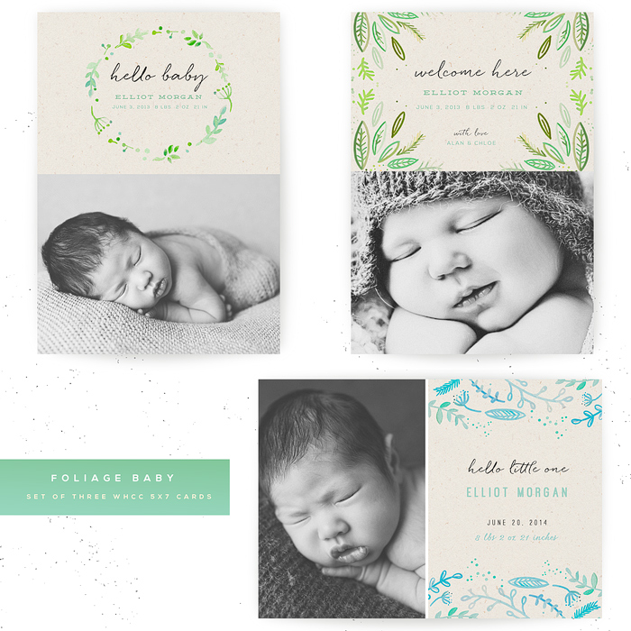 Foliage Baby 5x7 WHCC Cards.jpeg