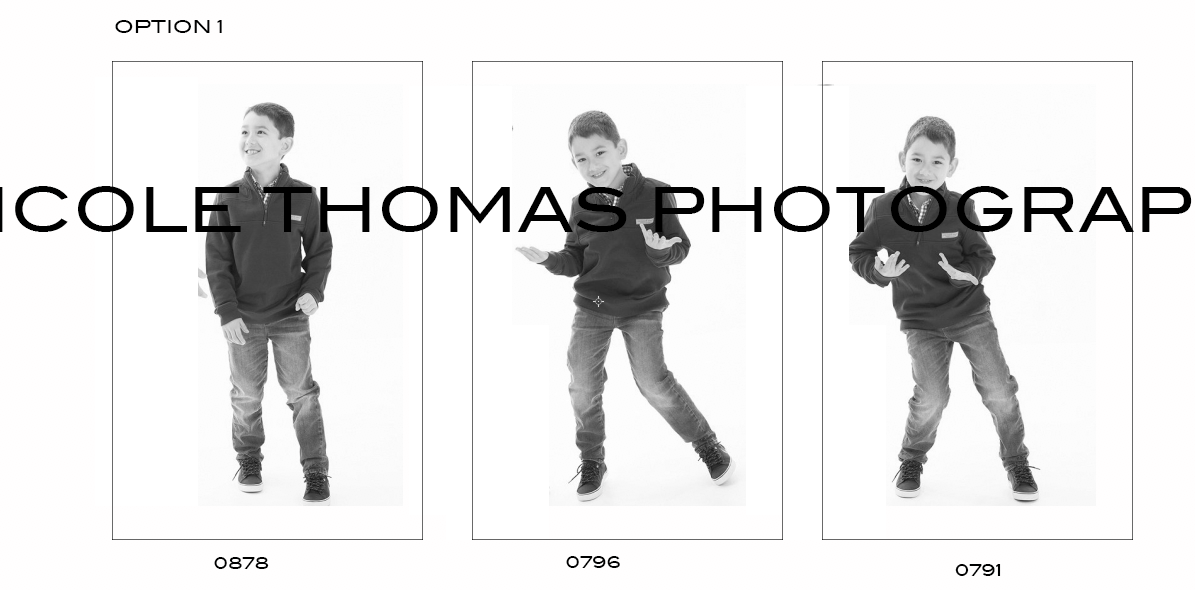 Option 1.png