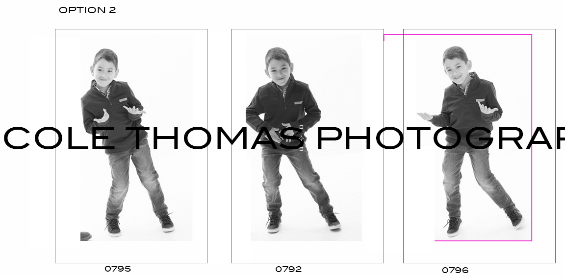 Option 2.png
