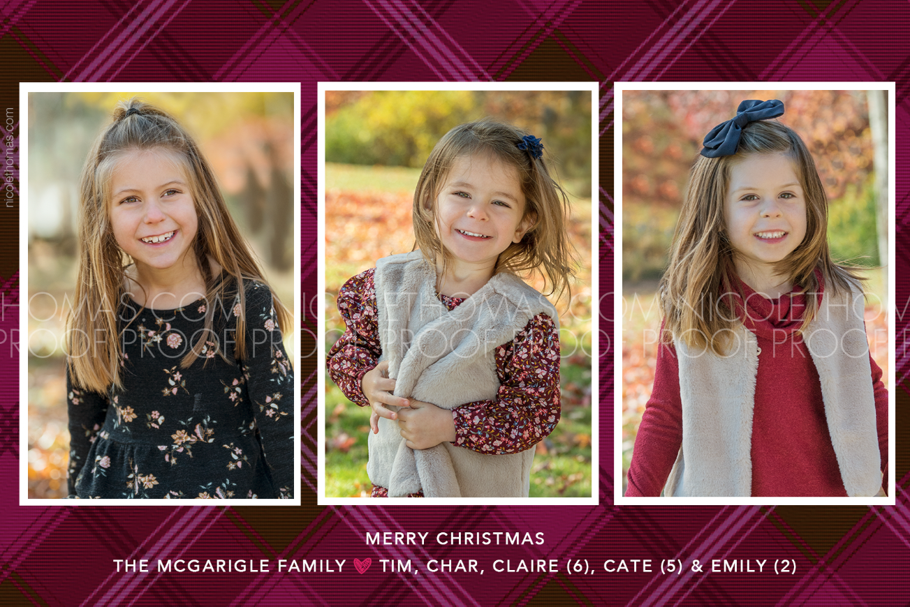 Screen Shot 2020-12-01 at 3.27.03 PM.png