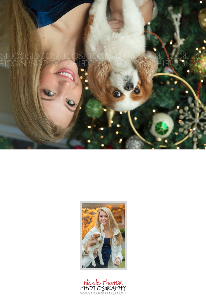 Screen Shot 2020-12-09 at 2.45.49 PM 2.png