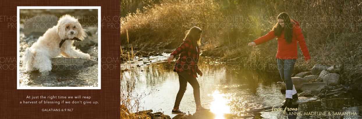 Screen Shot 2020-12-10 at 5.48.17 PM.png