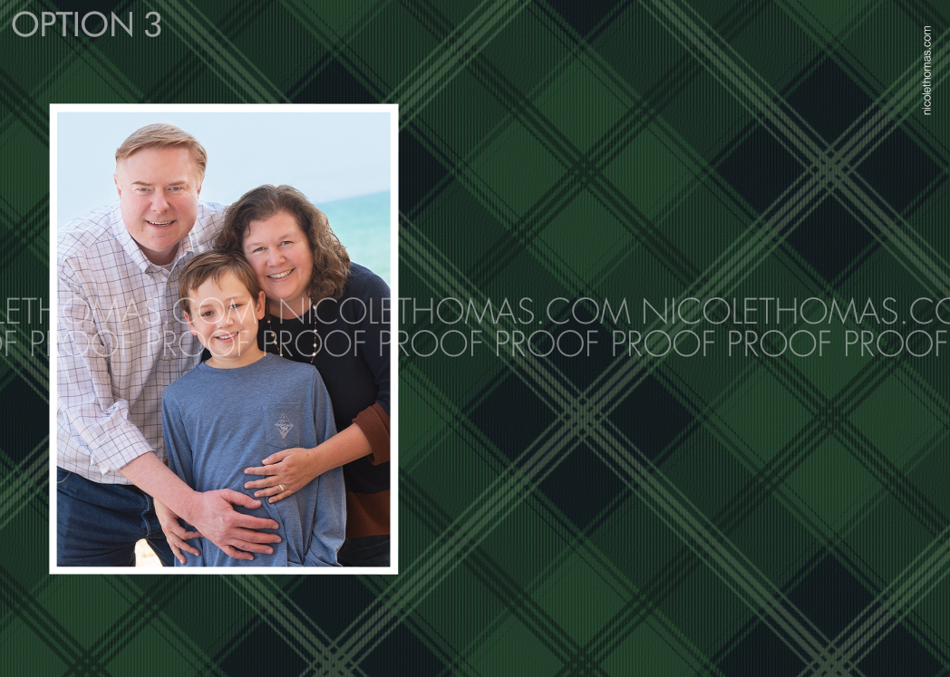 Option 3.png