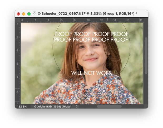 Screen Shot 2022-12-16 at 3.06.34 PM.png