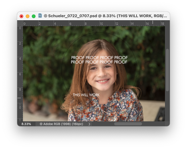 Screen Shot 2022-12-16 at 3.20.32 PM.png