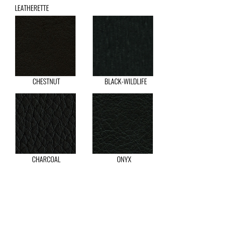 5 Seldex Master Matted Album Template 050324.png