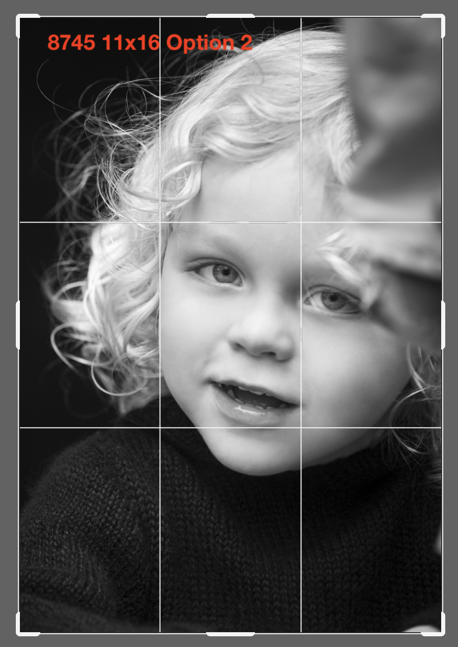 8745 11x16 Option 2.png