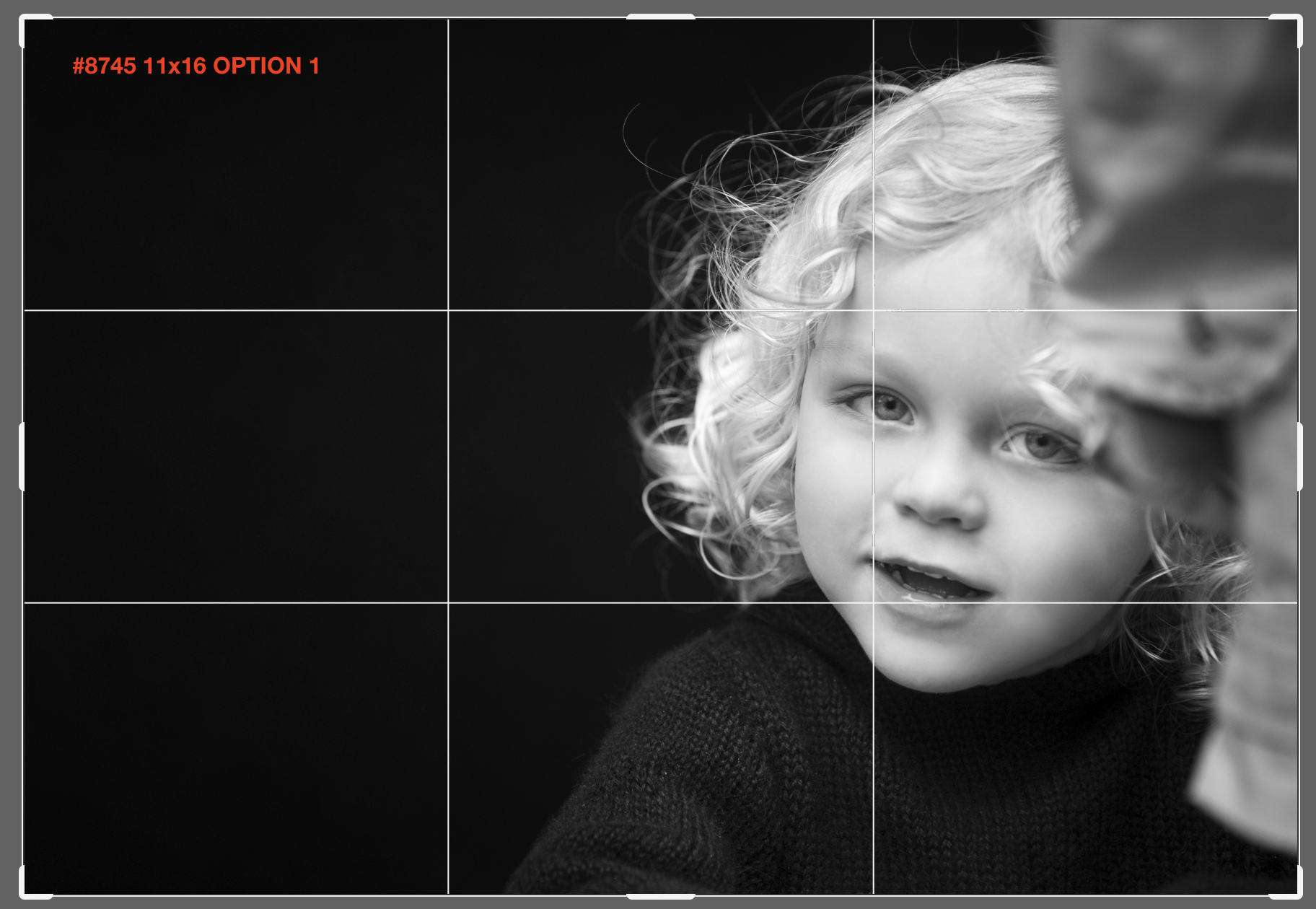 8745 11x16 Option 1.png