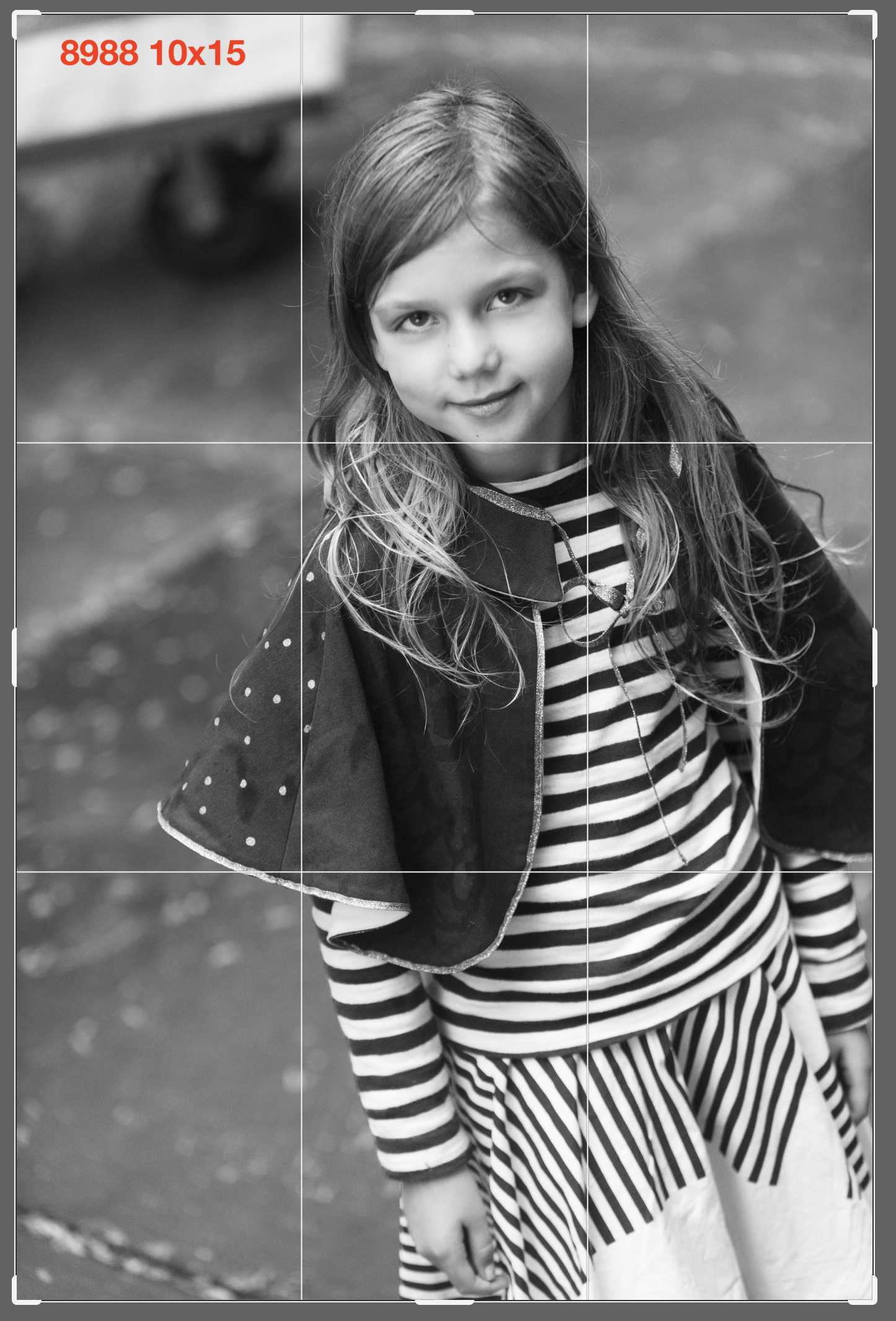 8988 10x15 Gallery Wrap Crop.png