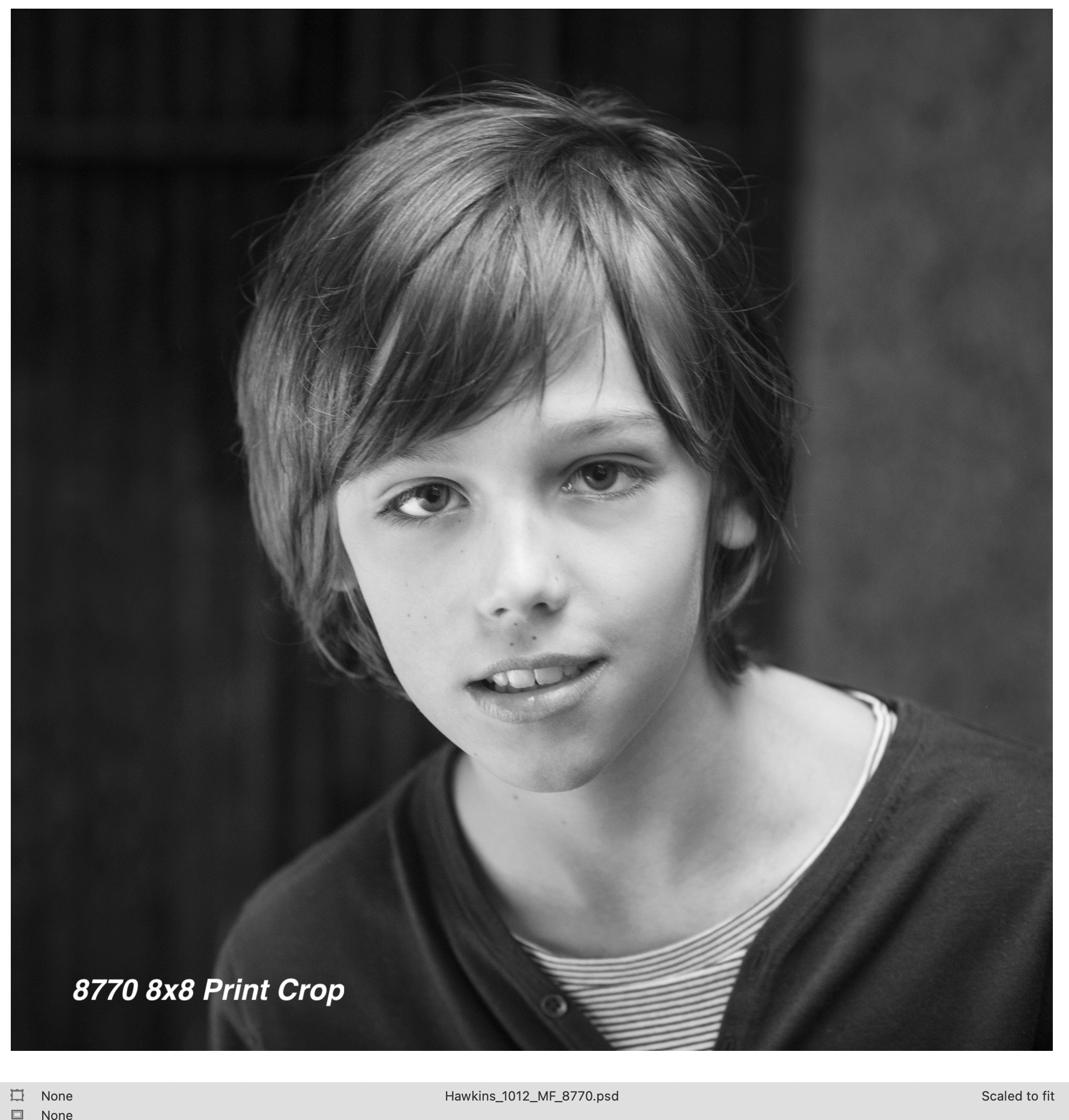 8770 8x8 Print Crop.png