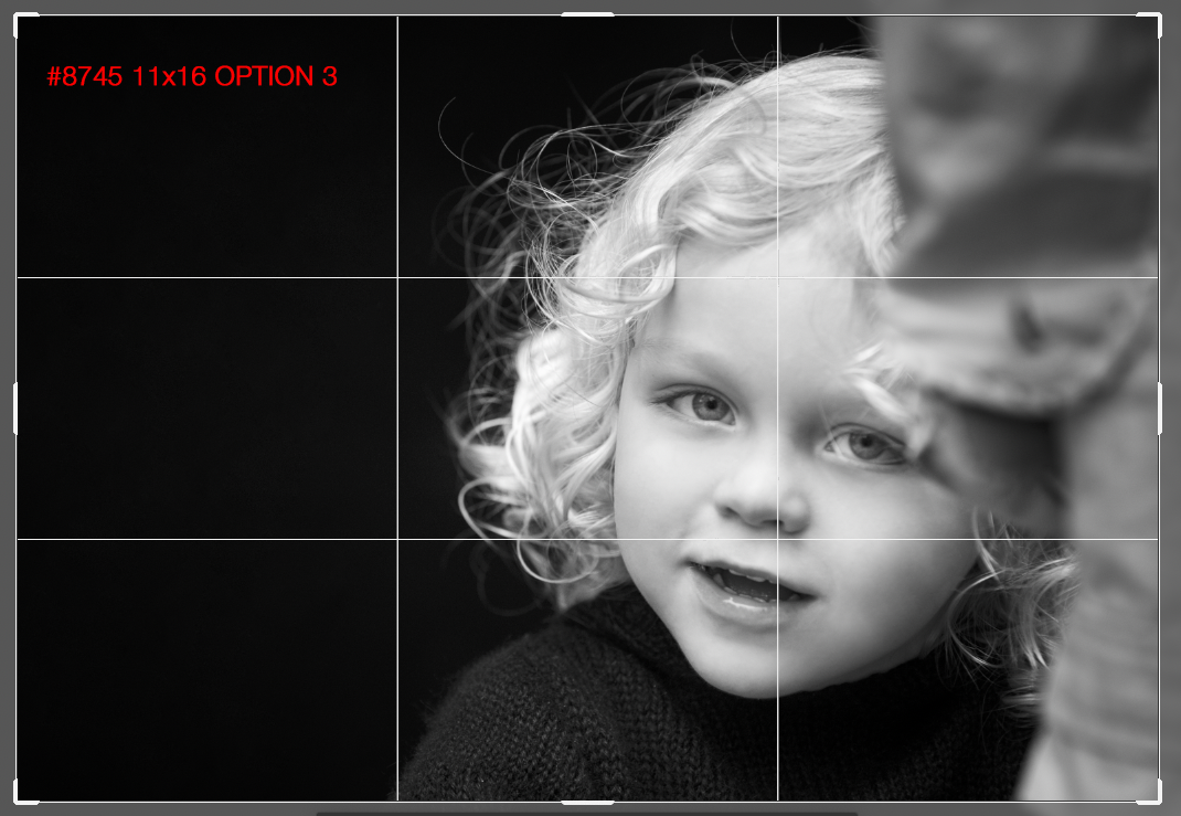 8745 11x16 Option 3.png
