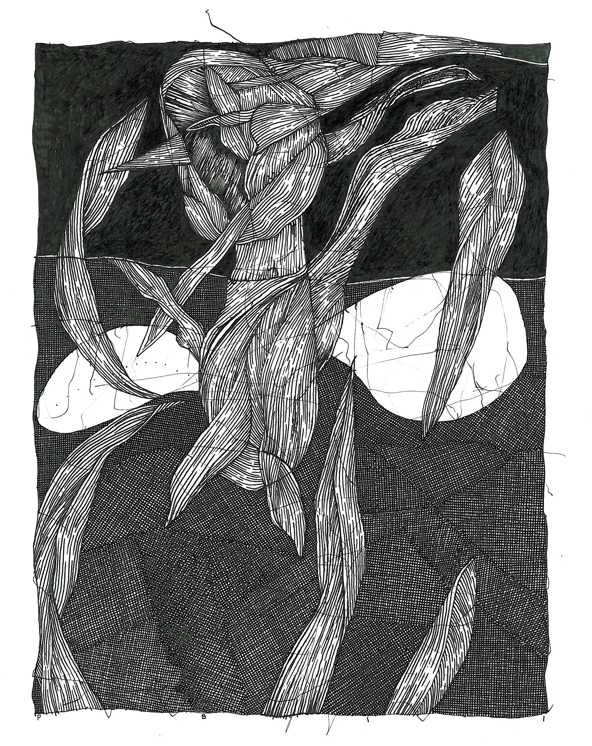  Pen and Ink - 6" x 8" - 2011 