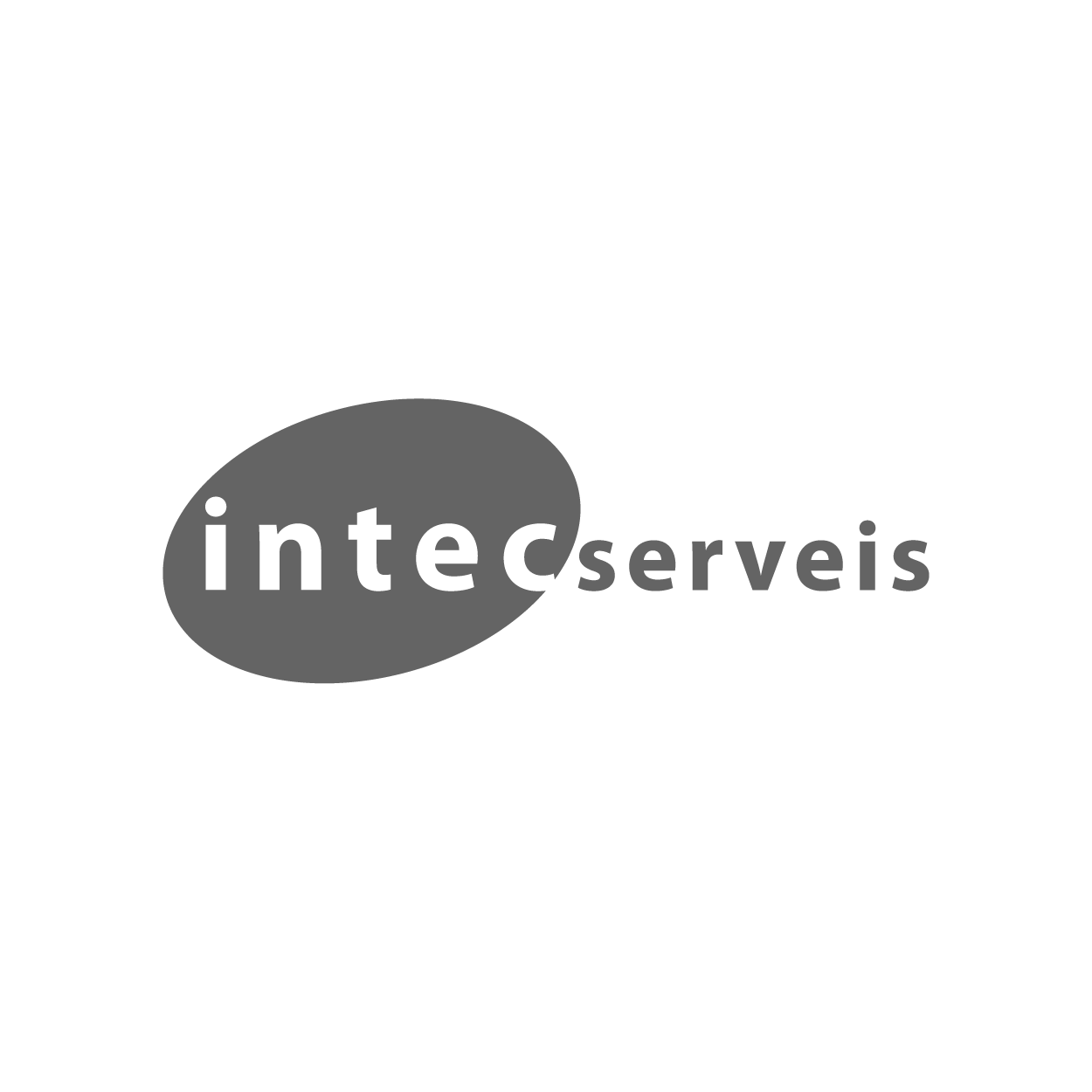 logo_Intecserveis.png