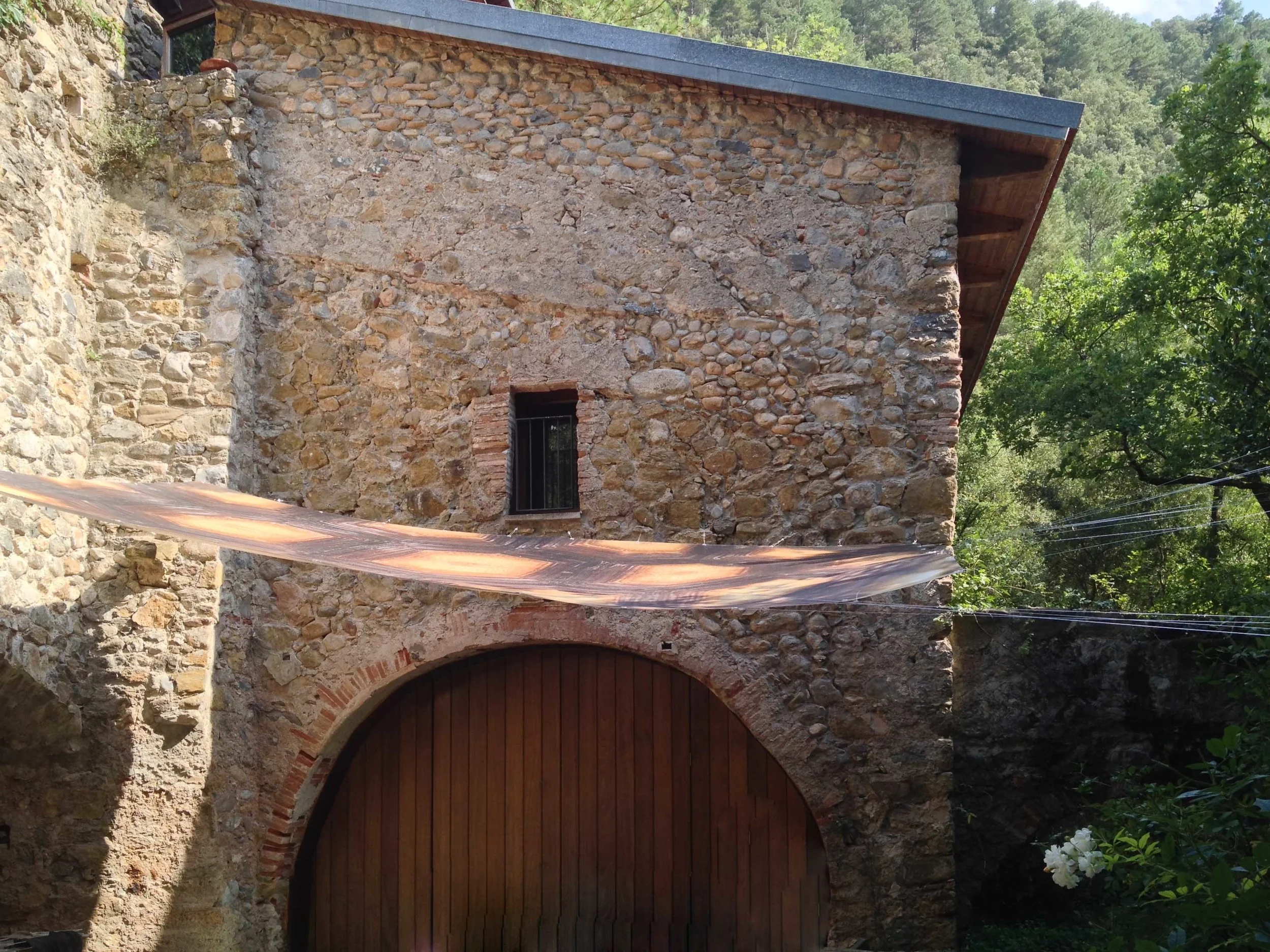 farga_muga_carpa_045.jpg
