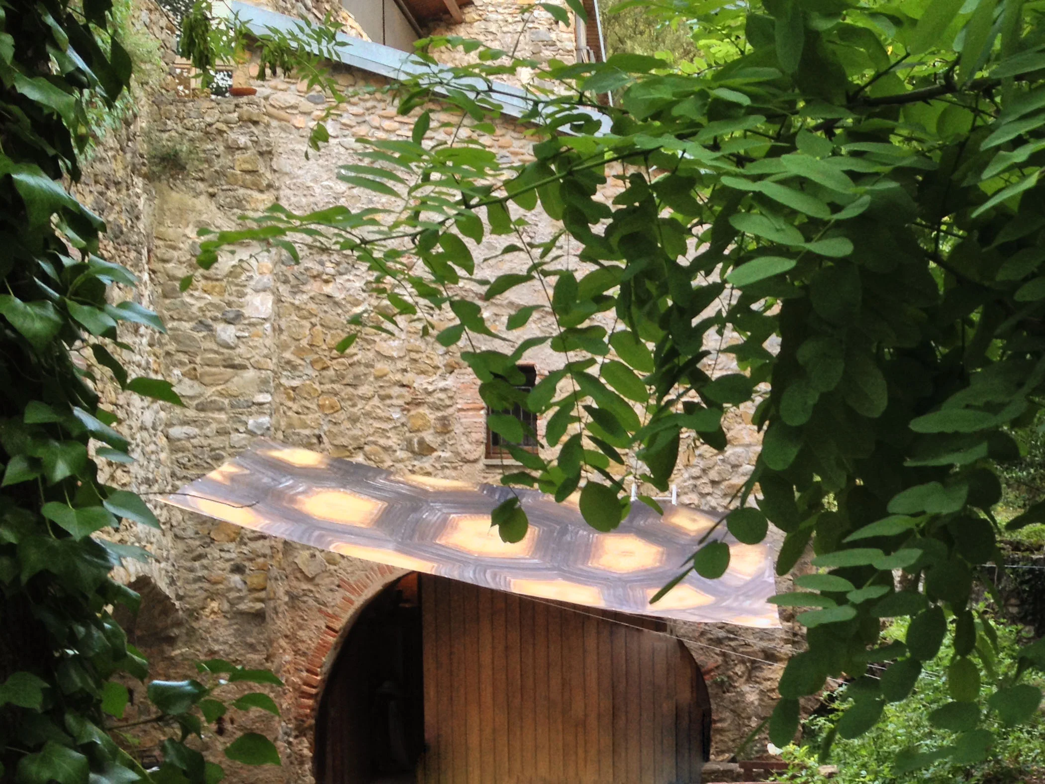 farga_muga_carpa_035.jpg