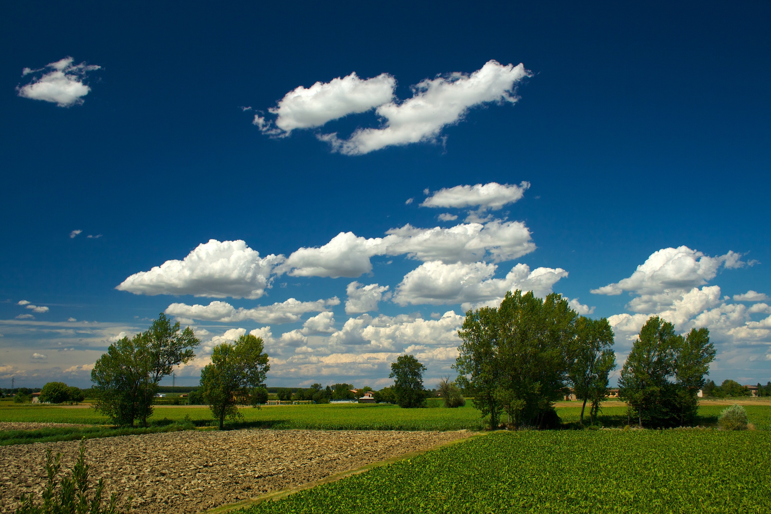 Bassa landscape.jpg