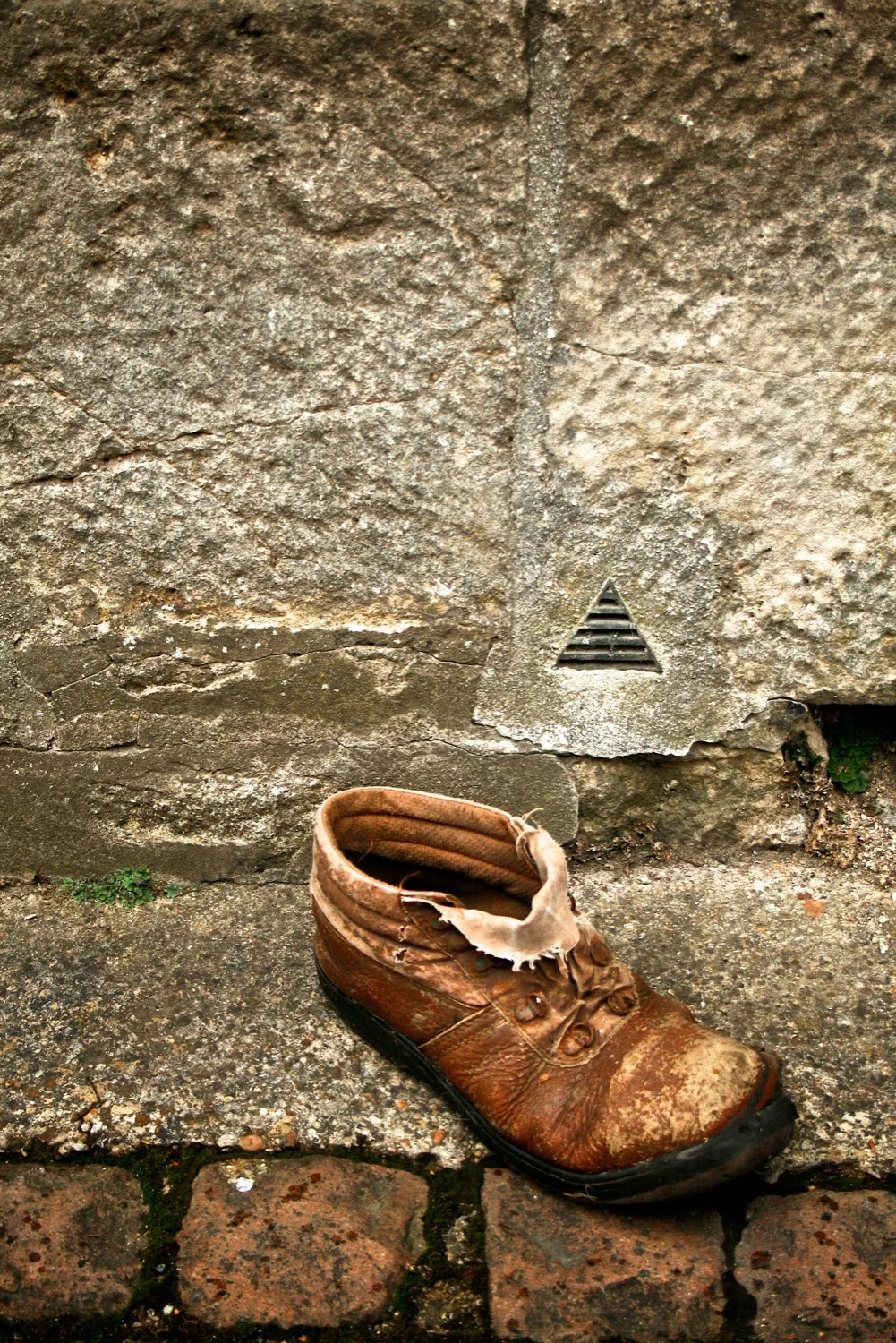 Brown shoe.jpg