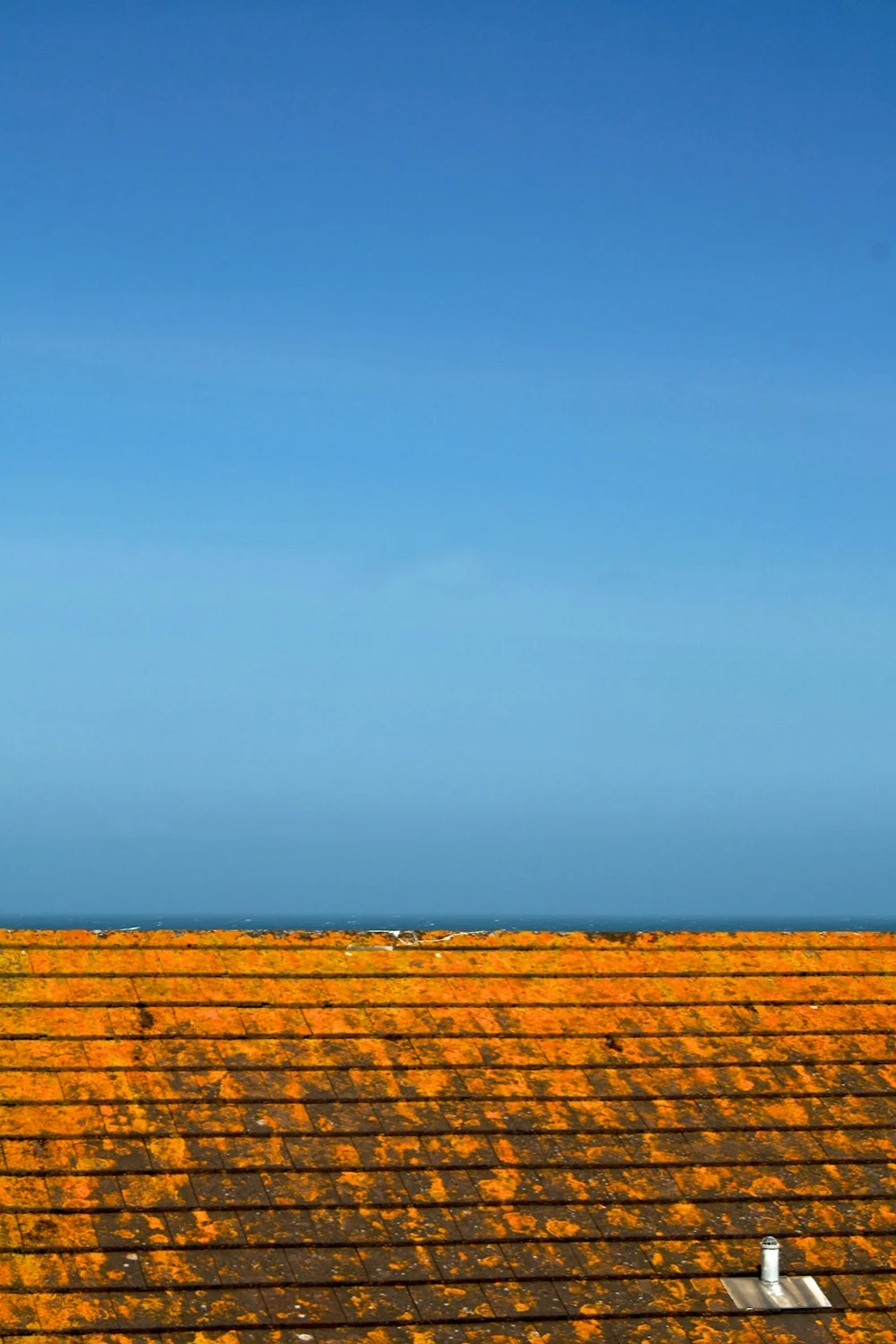 Horizon roof.jpg