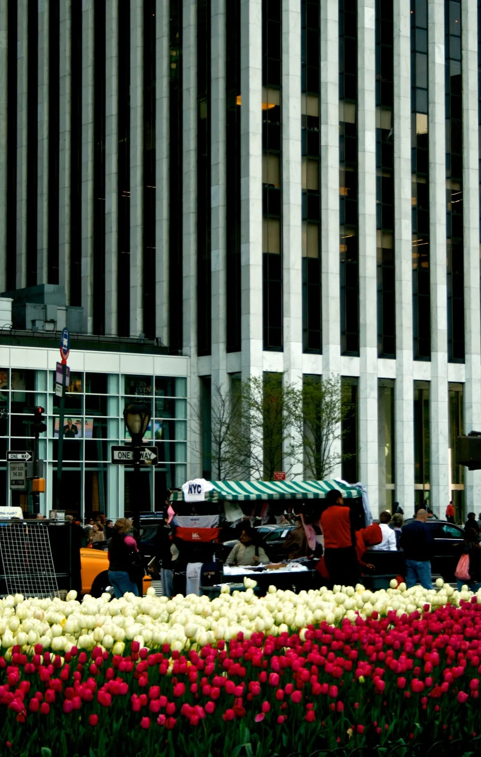 Flowers tone.jpg